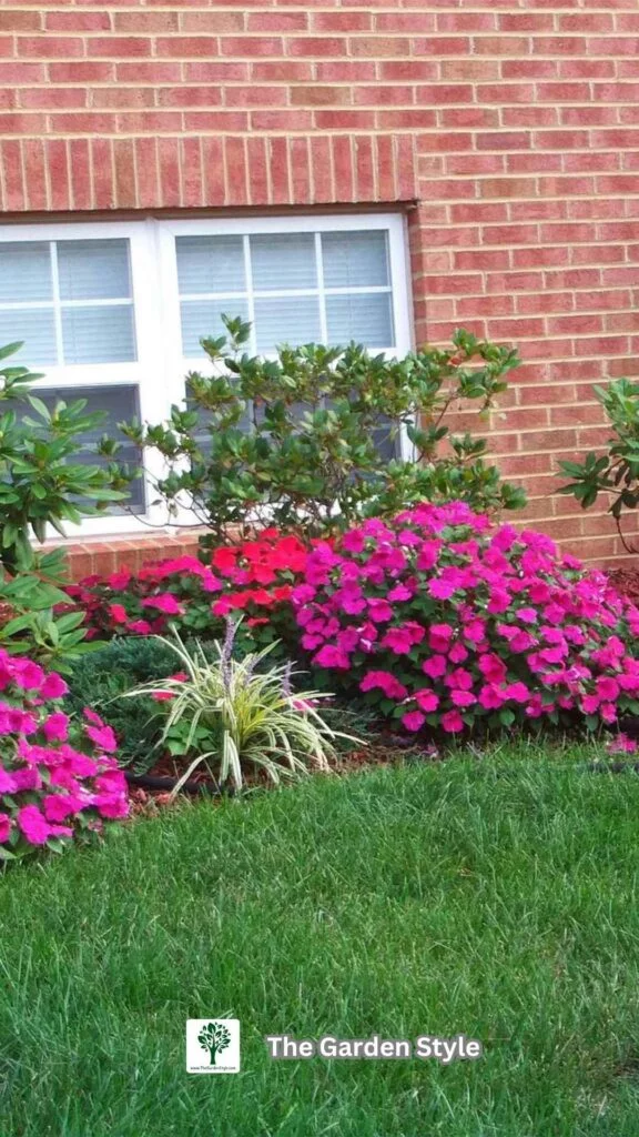 landscaping ideas for hostas front yard
