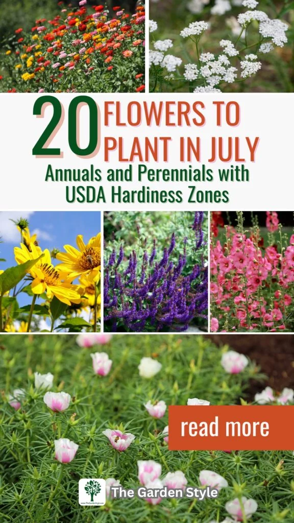 20 flowers to plant in july annuals and perennials