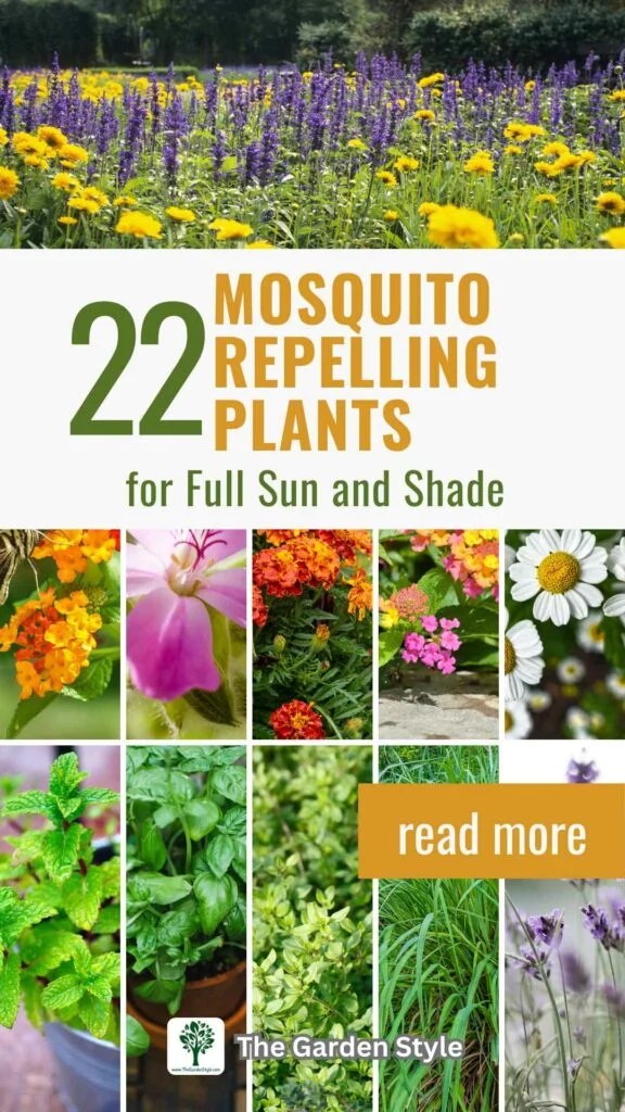 22 mosquito repelling plants for full sun and shade