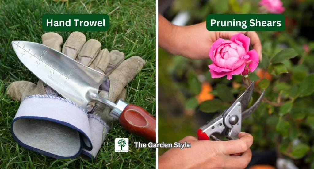 basic tools every gardener needs