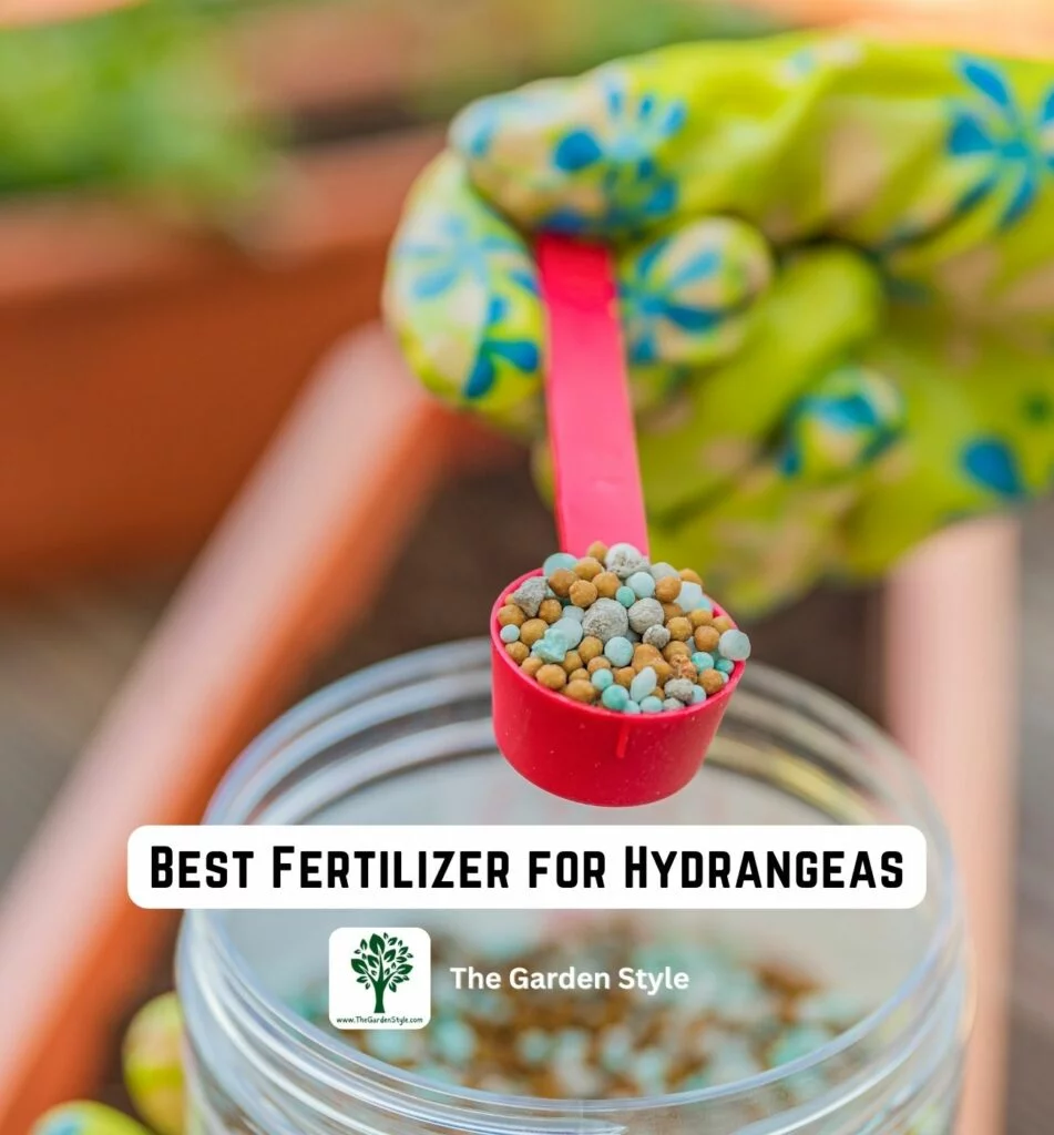 best fertilizer for hydrangeas