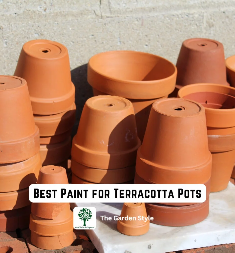 best paint for terracotta pots