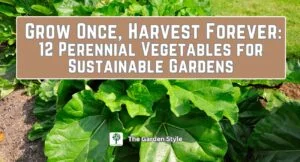 grow once harvest forever perennial vegetables for sustainable gardens