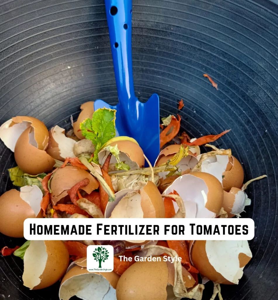 homemade fertilizer for tomatoes