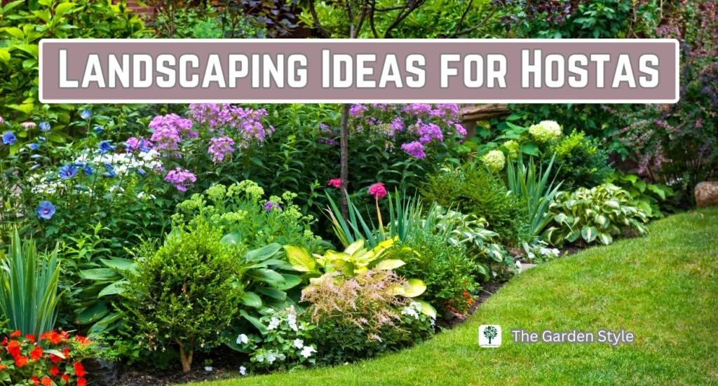landscaping ideas for hostas
