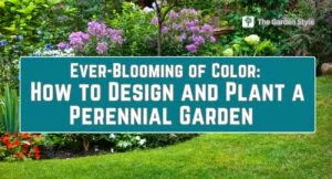 how to design and plant a perennial garden with flower foliage and grasses guide plans layouts