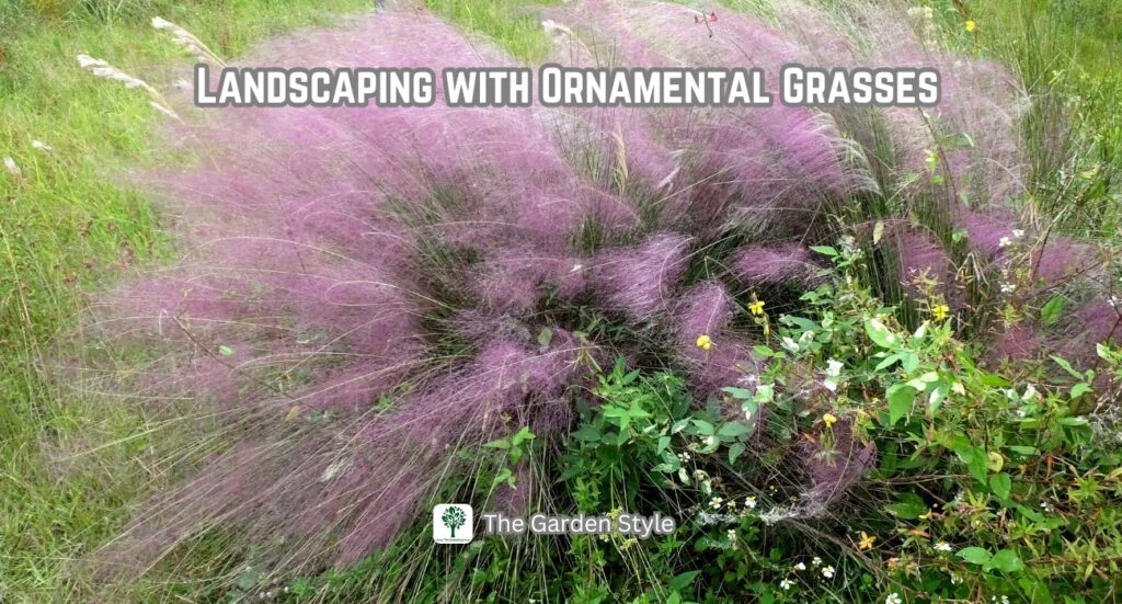 landscaping with ornamental grass