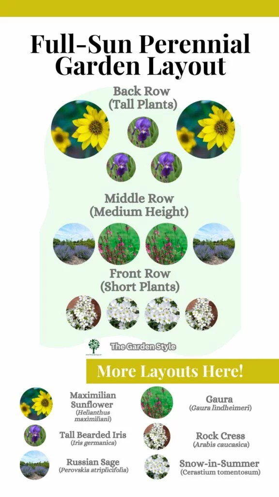 design a flower perennial garden full sun layout