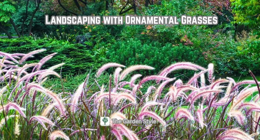 landscaping with ornamental grasses shade garden