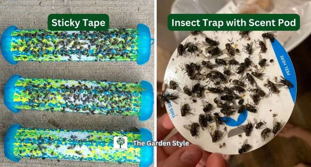 physical barriers and traps to get rid of flies