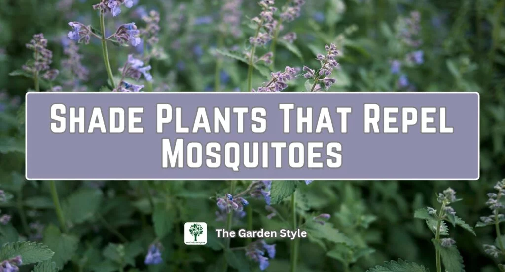 shade plants that repel mosquitoes