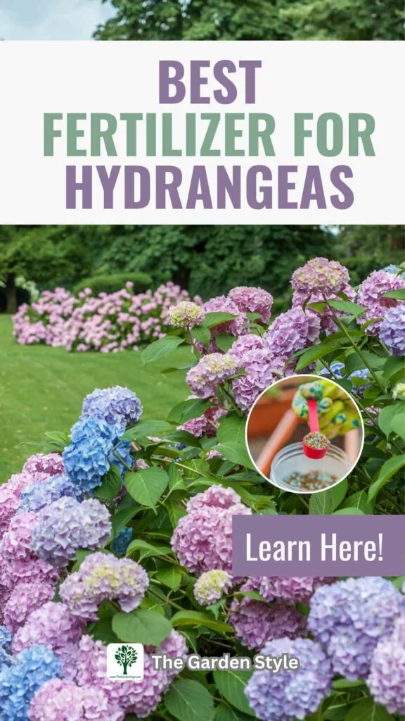 the best fertilizer for hydrangeas