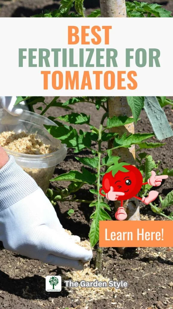 the best fertilizer for tomatoes