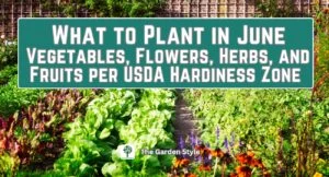 what to plant in june vegetables flowers herbs and fruits
