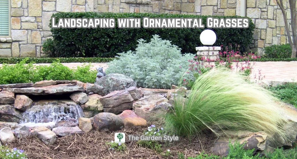 border landscaping with ornamental grass